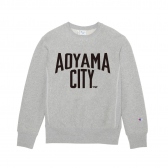 Mr.GENTLEMAN-CHAMPION CREW-NECK SWEAT - AOYAMA CITY PRINT - Grey