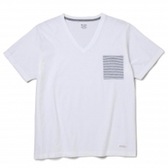 DELUXE CLOTHING-CAIPIRINHA BORDER - Gray