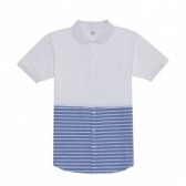 Mr.GENTLEMAN-COMBINATION POLO SHIRTS - White × Blue stripe