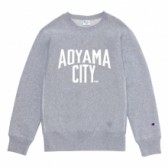 Mr.GENTLEMAN-CHAMPION CREW-NECK SWEAT AOYAMA CITY PRINT-Grey