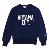 Mr.GENTLEMAN-CHAMPION CREW-NECK SWEAT AOYAMA CITY PRINT-Navy
