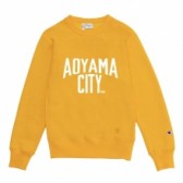Mr.GENTLEMAN-CHAMPION CREW-NECK SWEAT AOYAMA CITY PRINT-Yellow