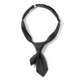 N.HOOLYWOOD-271-AC05 peg - Black