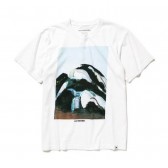 and wander-YoJeong x and wander T: mountain - White