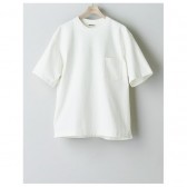 AURALEE-STAND-UP TEE