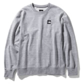 THE-NORTH-FACE-Heather-Logo-Crew-Z-ミックスグレー-168x168