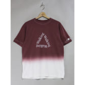 MOUNTAIN-RESEARCH-Walking-Dye-Wine-168x168