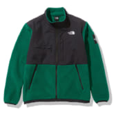 THE-NORTH-FACE-Denali-Jacket-EV-エバーグリーン-168x168