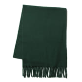 A.P.C.-Ambroise-マフラー-Green-168x168