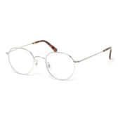 BuddyOptical-Princeton-normal-Silver-168x168