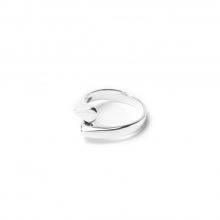 Stem Ring